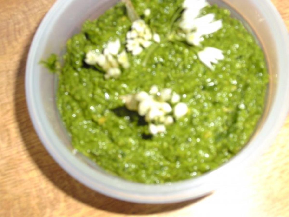 Bärlauch-Pesto .. - Rezept - Bild Nr. 3