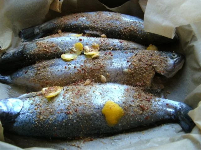 Rezept: Forellen einfach gebraten Bild Nr. 3 Forellen einfach gebraten - Rezept - Bild Nr. 3