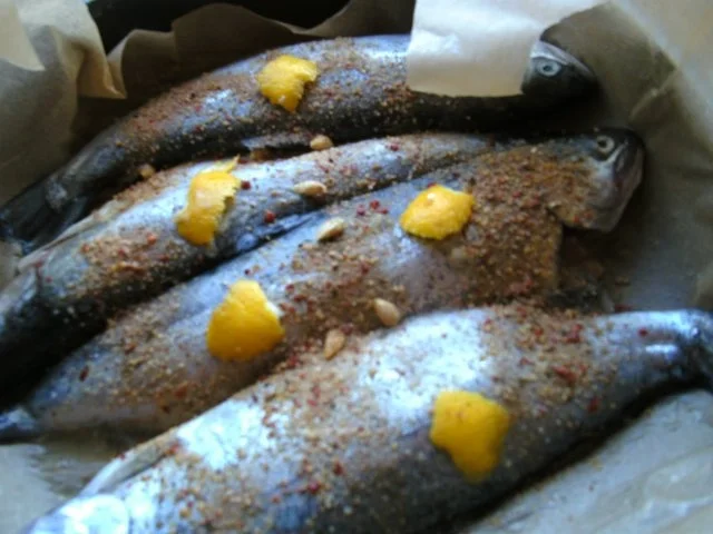Rezept: Forellen einfach gebraten Bild Nr. 5 Forellen einfach gebraten - Rezept - Bild Nr. 5
