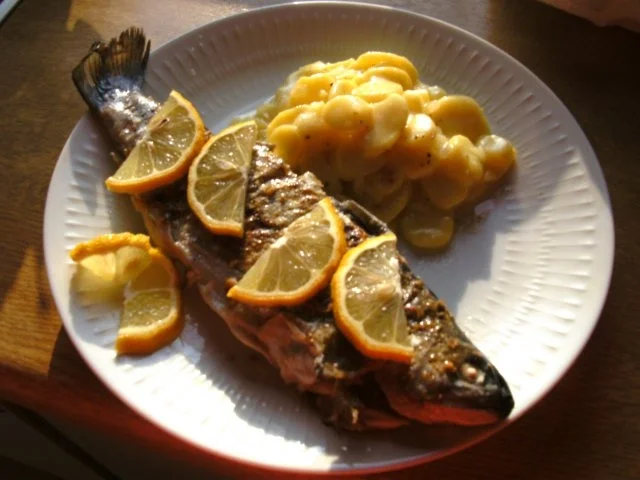 Rezept: Forellen einfach gebraten Bild Nr. 2 Forellen einfach gebraten - Rezept - Bild Nr. 2