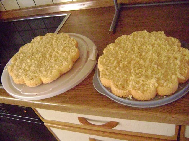 Bisquitboden hoch - Biskuit - Bisquit - Tortenboden hell oder dunkel - wie vom Bäcker - Rezept - Bild Nr. 9