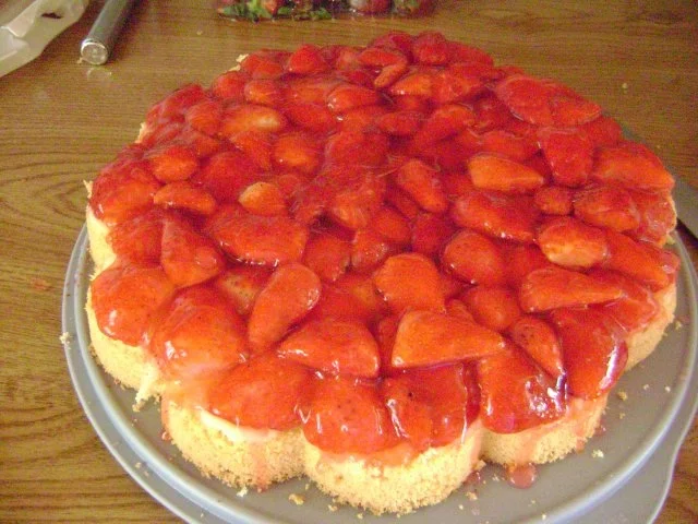 Bisquitboden hoch - Biskuit - Bisquit - Tortenboden hell oder dunkel - wie vom Bäcker - Rezept - Bild Nr. 11