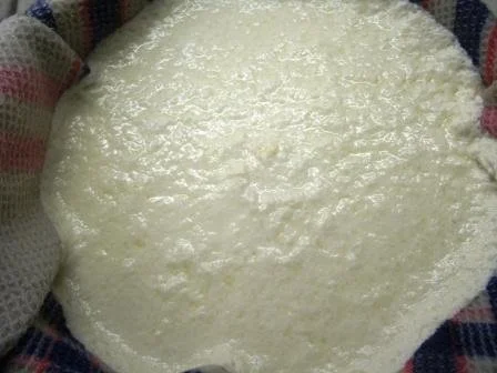 Rezept: Mozzarella selbst hergestellt Bild Nr. 3 Mozzarella selbst hergestellt - Rezept - Bild Nr. 3