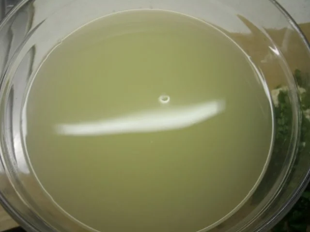 Rezept: Mozzarella selbst hergestellt Bild Nr. 5 Mozzarella selbst hergestellt - Rezept - Bild Nr. 5