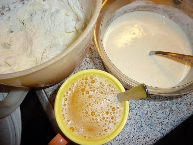 Dessert: Orangen-Joghurtcreme - Rezept - Bild Nr. 4