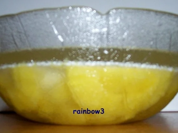 Sonstiges: Kandierte Ananas - Rezept - Bild Nr. 4