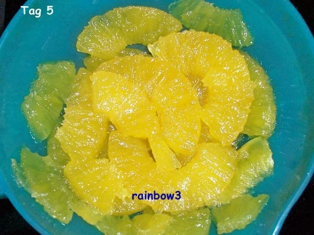 Sonstiges: Kandierte Ananas - Rezept - Bild Nr. 7