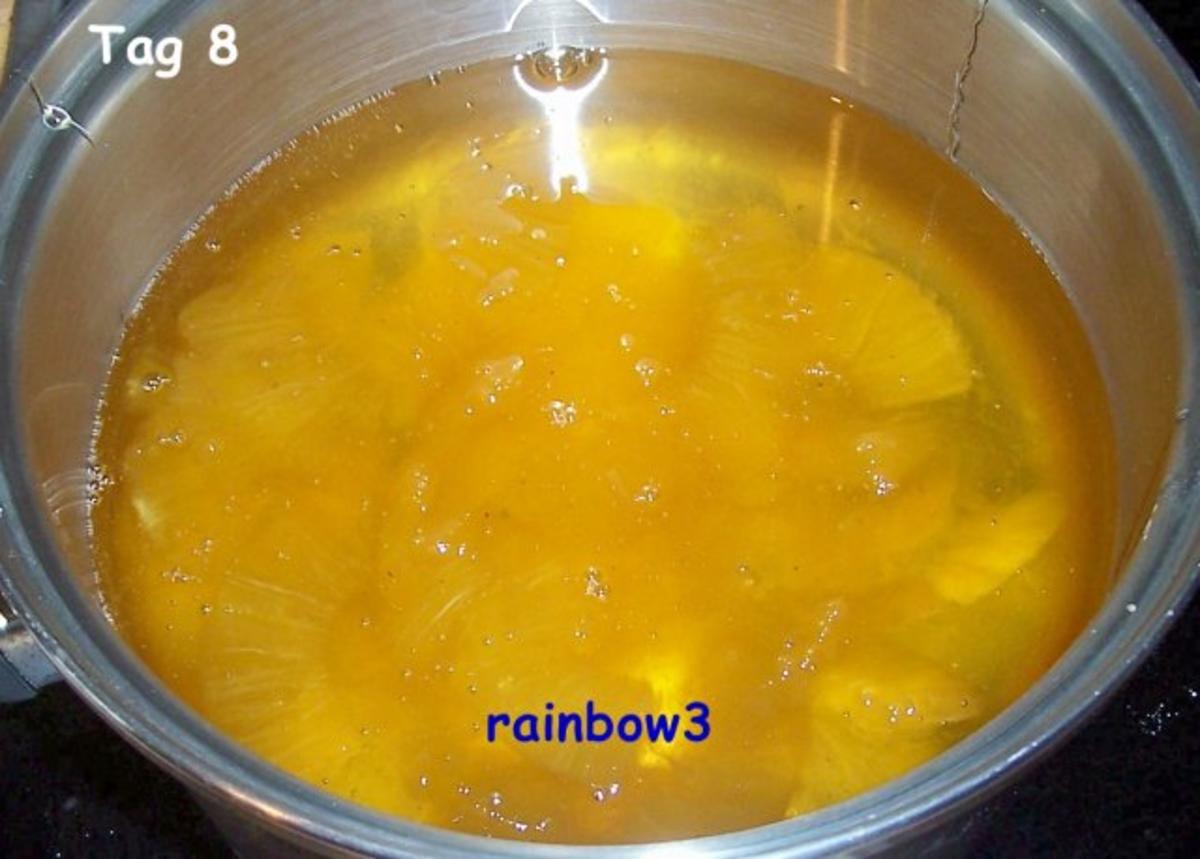 Sonstiges: Kandierte Ananas - Rezept - Bild Nr. 11