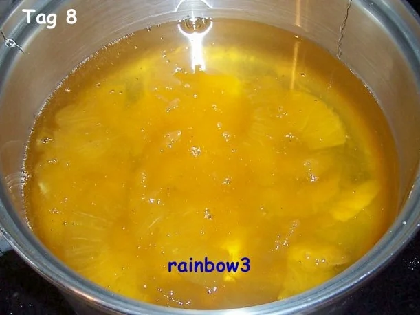 Sonstiges: Kandierte Ananas - Rezept - Bild Nr. 11