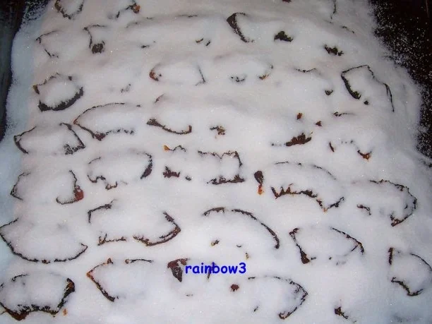 Sonstiges: Kandierte Ananas - Rezept - Bild Nr. 17