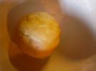 Quiche Lorraine - Rezept