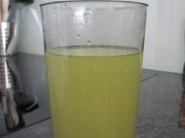 Zitronensorbet - Rezept - Bild Nr. 8