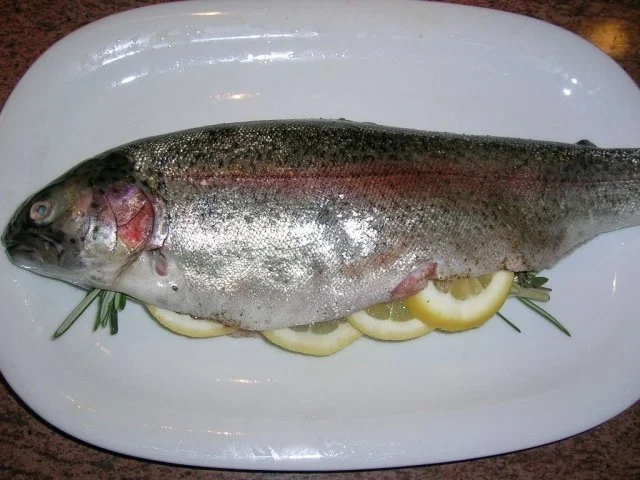 Rezept: Forellen vom Blech, Kartoffel-Rote-Beete-Carpaccio, Meerrettichdip Bild Nr. 10 Forellen vom Blech, Kartoffel-Rote-Beete-Carpaccio, Meerrettichdip - Rezept - Bild Nr. 10