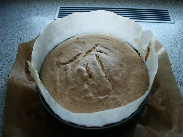 Doppelter Biskuitboden - Rezept - Bild Nr. 7