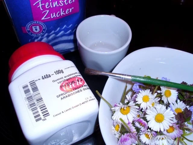 Praktisches: Kandierte Gänseblümchen - Rezept - Bild Nr. 2