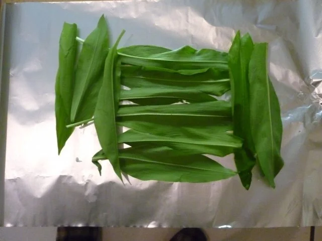 Victoriabarschfilet mit Kräutern in Alufolie - Rezept - Bild Nr. 3