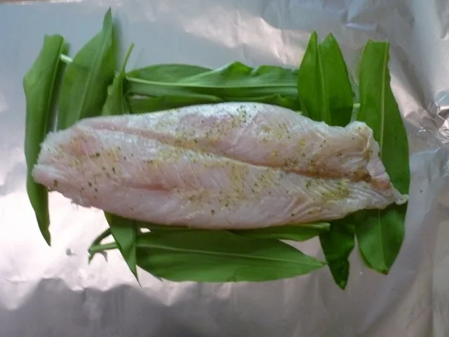 Victoriabarschfilet mit Kräutern in Alufolie - Rezept - Bild Nr. 4