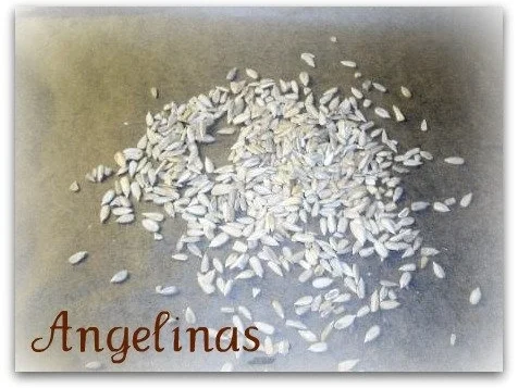 Kichererbsenbrot - Rezept - Bild Nr. 4