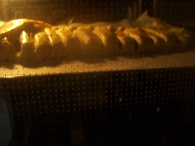 Hefezopf mit Mohn - Rezept - Bild Nr. 9