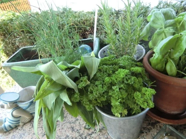 Bärlauchbutter mit Dill und ...... - Rezept - Bild Nr. 2