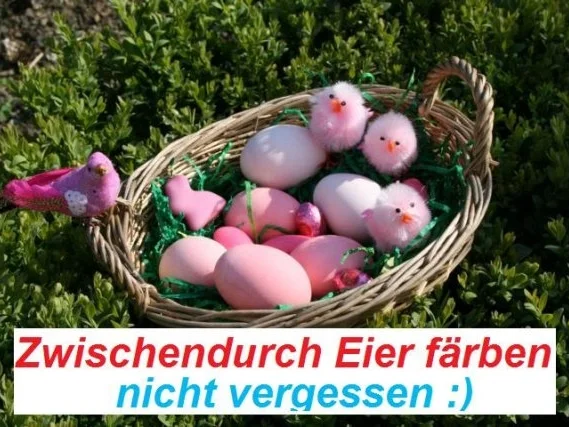 Vanillecreme Kirsch Kuchen - Rezept - Bild Nr. 8