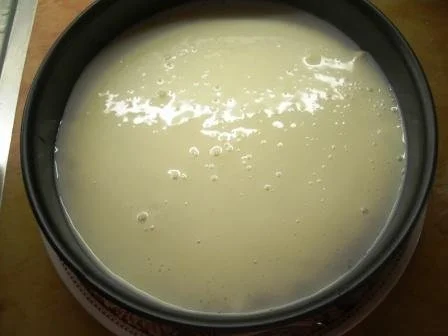 Waldbeeren- Joghurttorte mit Honig - Rezept - Bild Nr. 8