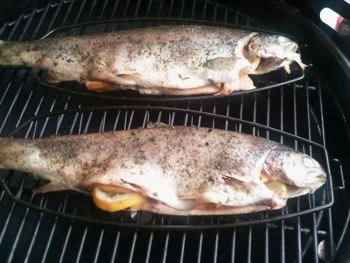 Rezept: Gegrillte Forelle an Bratkartoffelsalat Part 1 a la Nightcooker Bild Nr. 5 Gegrillte Forelle an Bratkartoffelsalat Part 1 a la Nightcooker - Rezept - Bild Nr. 5