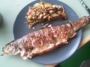 Gegrillte Forelle an Bratkartoffelsalat Part 2 a la Nightcooker - Rezept