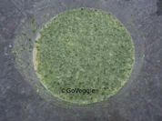 Honig-Senf-Dressing - Rezept