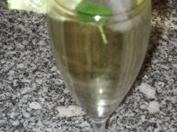 Rezept: Holunder-Prosecco-Schlürfchen Holunder-Prosecco-Schlürfchen - Rezept