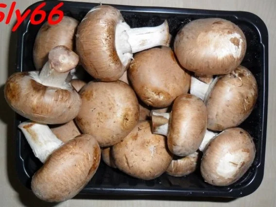 Eintopf:Feuerbohnentopf - Rezept - Bild Nr. 5