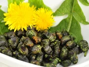 Löwenzahn Oliven - Rezept