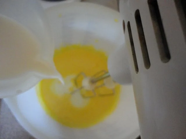 Malaga - Eis - Rezept - Bild Nr. 4