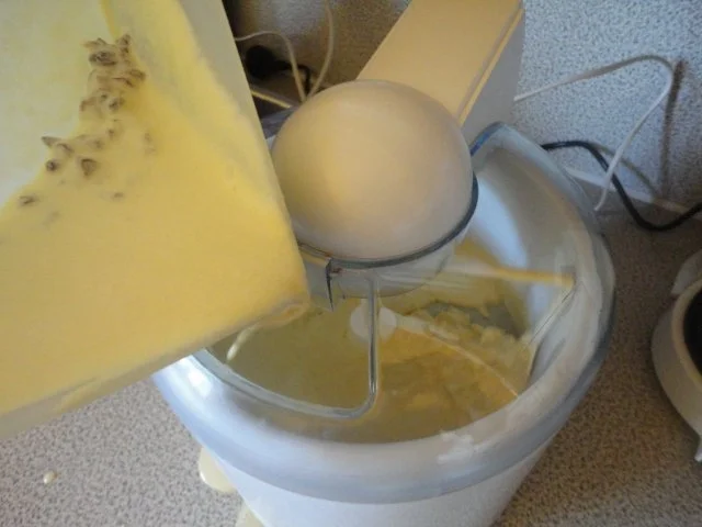 Malaga - Eis - Rezept - Bild Nr. 8