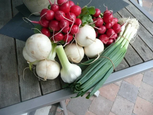 Rezept: SALAT/MAIRÜBEN-RADIESCHEN Bild Nr. 2 SALAT/MAIRÜBEN-RADIESCHEN - Rezept - Bild Nr. 2