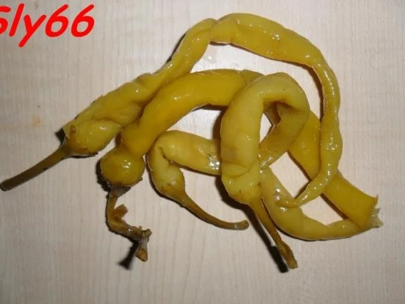 Fleischgerichte:Brätschnitzel Pikant - Rezept - Bild Nr. 4