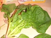 Croissant mal pikant - Rezept