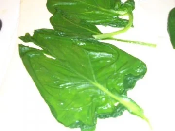 Rezept: Croissant mal pikant Bild Nr. 3 Croissant mal pikant - Rezept - Bild Nr. 3