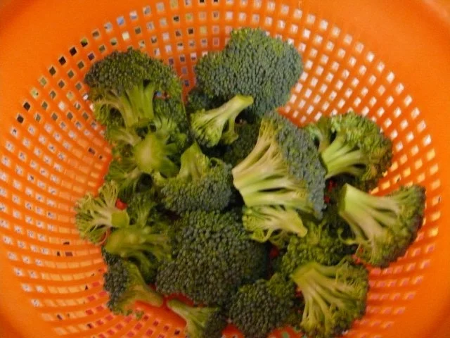 Rezept: Broccoli-Schnitzel-Auflauf Bild Nr. 9 Broccoli-Schnitzel-Auflauf - Rezept - Bild Nr. 9