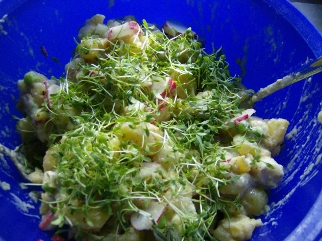 Rezept: Kartoffelsalat mit Radieserl und Lauchzwieberl Bild Nr. 4 Kartoffelsalat mit Radieserl und Lauchzwieberl - Rezept - Bild Nr. 4