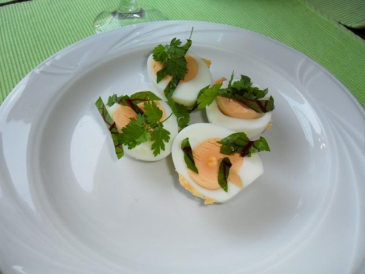 Eier in Senfsoße - Rezept - Bild Nr. 2