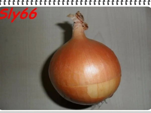 Suppen:Aus Rindfleischsuppe wird Gemüsecremsuppe - Rezept - Bild Nr. 10