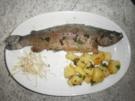 Forelle - Rezept - Bild Nr. 2