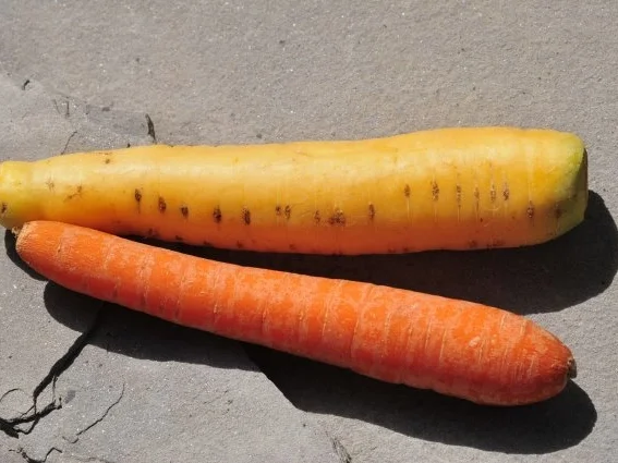 Rezept: mediterrane Spargelpfanne Bild Nr. 2 mediterrane Spargelpfanne - Rezept - Bild Nr. 2