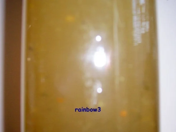 Kochen: Brühe aus Spargelschalen - Rezept - Bild Nr. 3