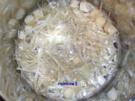 Kochen: Brühe aus Spargelschalen - Rezept