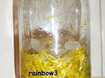 Rezept: Likör: Löwenzahnblütenlikör Bild Nr. 3 Likör: Löwenzahnblütenlikör - Rezept - Bild Nr. 3