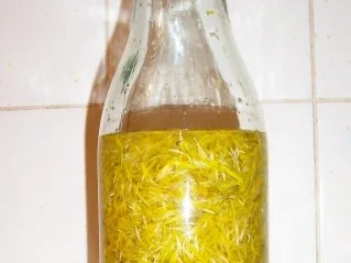 Rezept: Likör: Löwenzahnblütenlikör Bild Nr. 4 Likör: Löwenzahnblütenlikör - Rezept - Bild Nr. 4