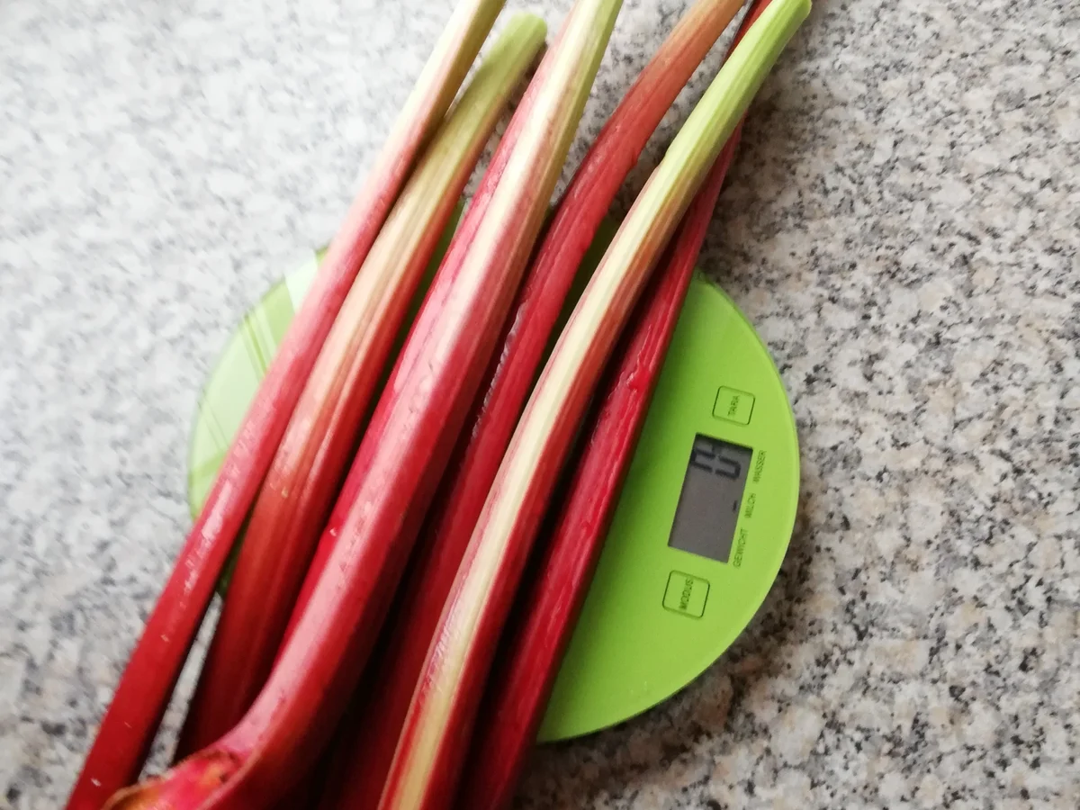 Rhabarberkuchen - Rezept - Bild Nr. 5843