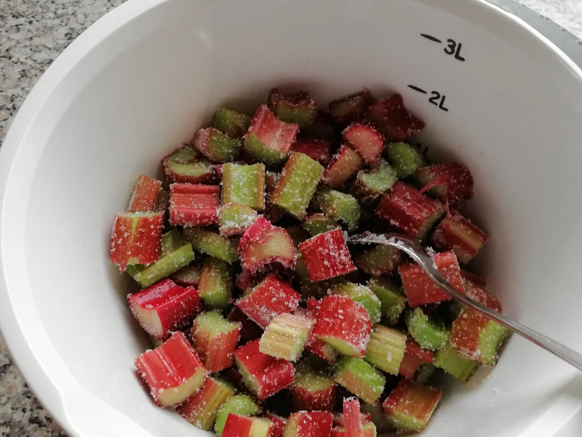 Rhabarberkuchen - Rezept - Bild Nr. 5845